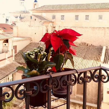 Casa Pamisy Apartment Alicante